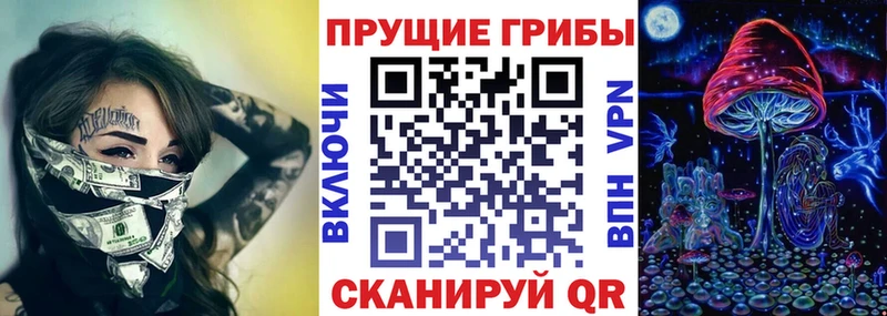 где купить   маркетплейс телеграм  Галлюциногенные грибы MAGIC MUSHROOMS  Завитинск 